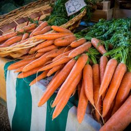 Carrot